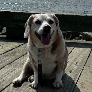 Meet your Posher, Cheryl